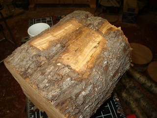 chainsaw to flatten an area