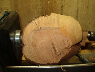 a lot of wood still to remove