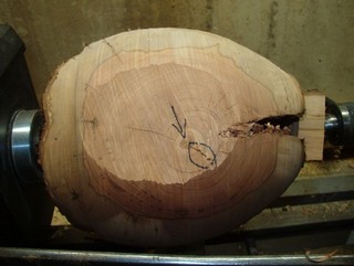  a lot of wood to be removed