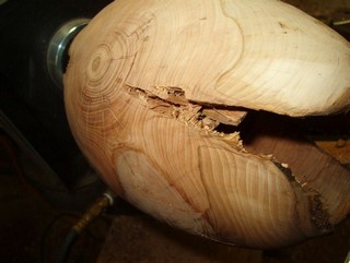 begin to hollow and to thin the walls