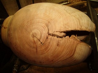 there is weak wood around the pith