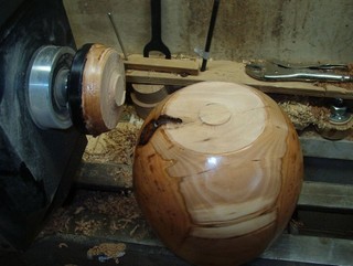 a small stubb that needed removal