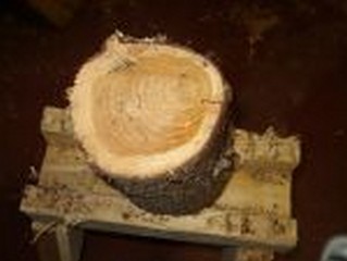 wood turning project wood