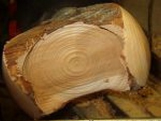 the edges are starting to form 