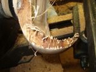 Long strands are left behind 