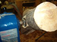 Manitoba Maple Wing Bowl Image