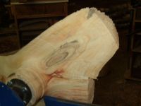 Manitoba Maple Wing Bowl Image