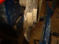 Manitoba Maple Wing Bowl Image