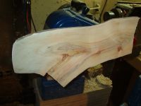 Manitoba Maple Wing Bowl Image