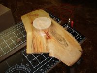 Manitoba Maple Wing Bowl Image