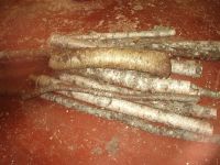 birch wood for turning