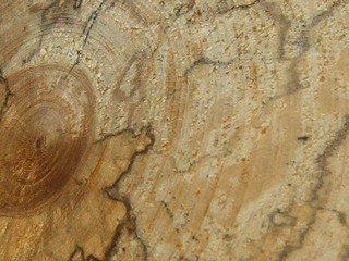 hard to sand because of tear out