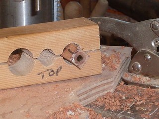 trimmed end of pen tube