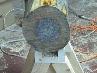  end of a 13" x 10 1/2" log section of red maple