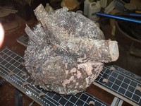 wood turning spruce burl