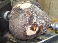 wod turning basics: reading the wood