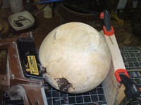 wodturning burl bottom: planer flattened