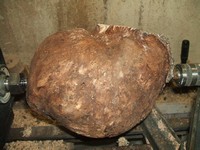 woodturning technique: mounting on the lathe